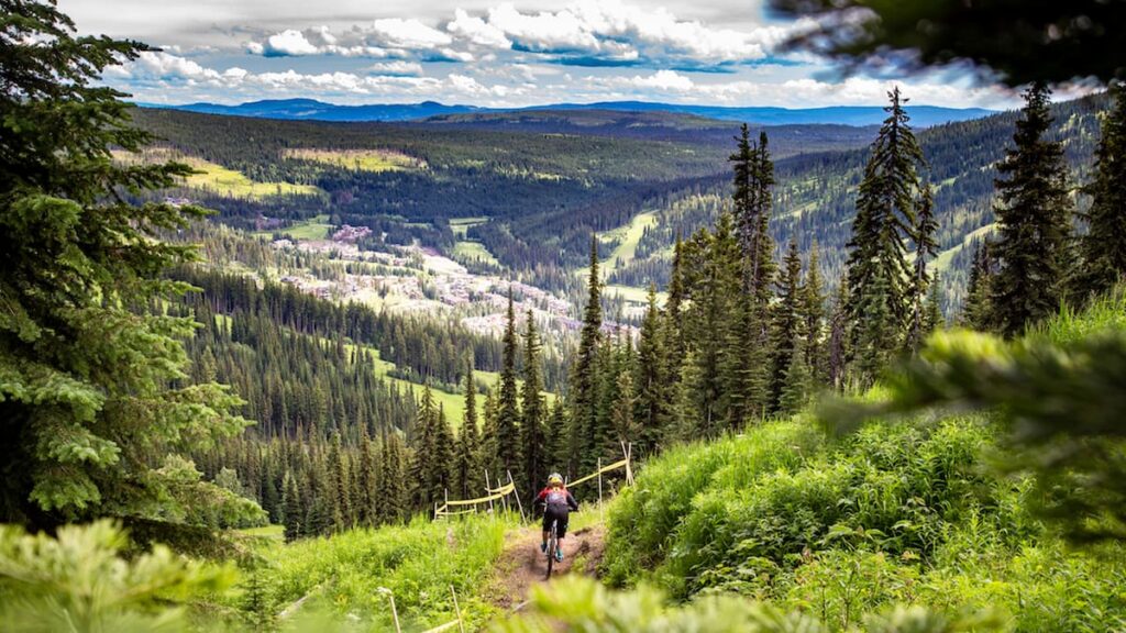 A mountain biker riding down a trail.